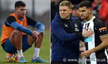 Eddie Howe admits £35m signing Bruno Guimaraes is 'not going to want to sit and watch much longer' - Daily Mail