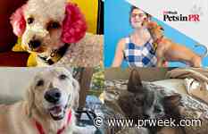 Minnie, Pimm, Miles or Dusty: Which Pets in PR story won your heart?