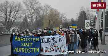 In Lindau hagelt es Kritik an einer Demo von FFF - Schwäbische