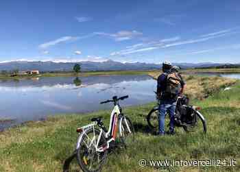 Scoprire Vercelli e il mare a quadretti della Baraggia - InfoVercelli24.it