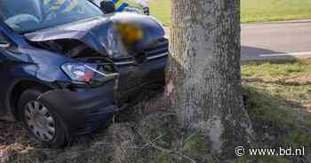 Toevallig passerende brandweerman en verpleegkundige schieten bestuurder te hulp die tegen boom botst in Oss - BD.nl