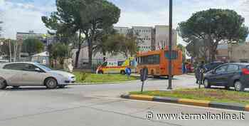 Tamponamenti a breve distanza, due donne trasportate al Pronto soccorso - Termoli Online