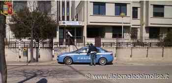 La Polizia di Termoli riesce a sventare un furto in un'azienda agricola: il ringraziamento della Confesercenti Campobasso e della SOS Impresa rete per la legalità - Il Giornale del Molise