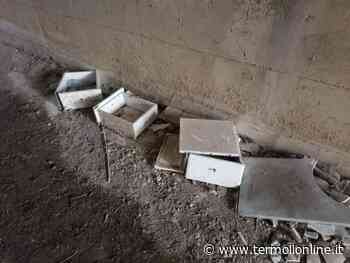 Battaglia contro l'inciviltà e rifiuti, cosa dice la norma - Termoli Online