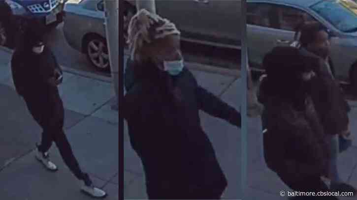 Baltimore Police Looking For Suspects In Armed Robbery Of Dog Near Patterson Park