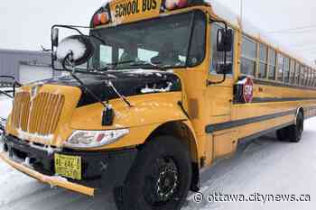 School bus shortage continues in Ottawa: OSTA - Ottawa.CityNews.ca