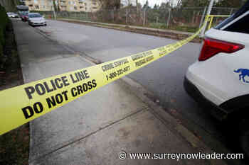 Surrey's trading cop control from Ottawa to Victoria, mayoral candidate Brenda Locke says – Surrey Now-Leader - Surrey Now Leader