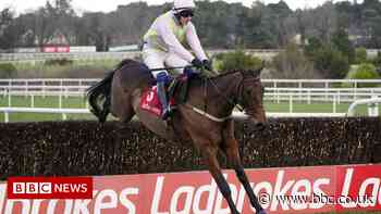 Ladbrokes owner Entain repays some furlough after outcry