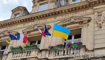 Frontignan : appel aux dons et mobilisation pour l'Ukraine - Hérault Tribune