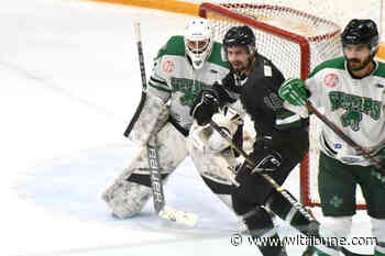 GO STAMPS GO: Williams Lake Stampeders to take on Quesnel Kangaroos Friday night at home – Williams Lake Tribune - Williams Lake Tribune