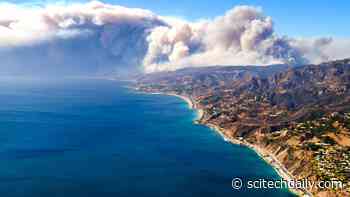 California Fire Led To Spike in Fecal Bacteria in Coastal Waters