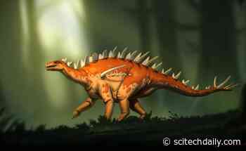 Fearsome New Species of Stegosaur May Be the Oldest Ever Discovered in the World
