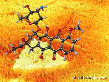 “Seeing” Non-Uniformities in 2D Materials May Lead to Tiny New Medical Sensors