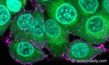 Infected People Could Have Multiple COVID Variants Hidden in Different Parts of the Body