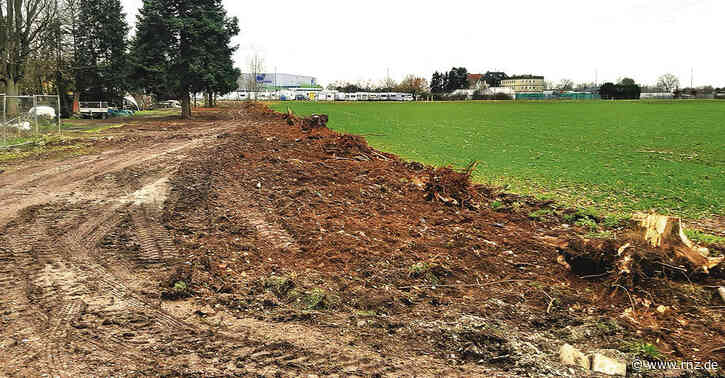 Heidelberg:  Warum wurden Bäume in der Bahnstadt gefällt?