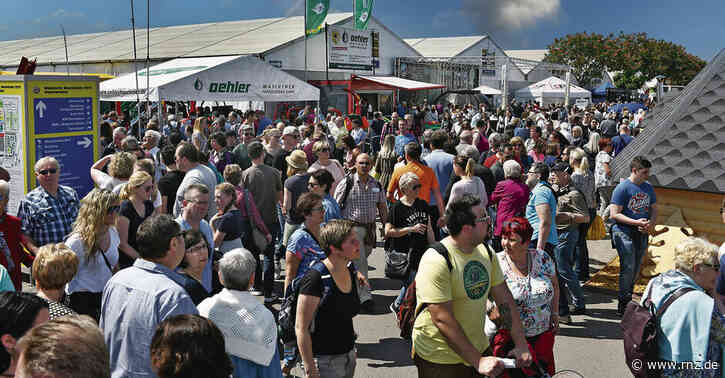 Weniger Aussteller, weniger Großzelte:  So wird der Mannheimer Maimarkt 2022