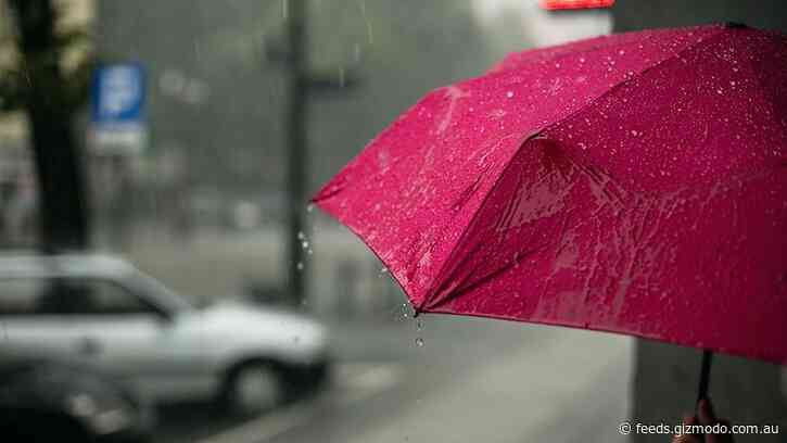 What’s the Record for How Long It’s Ever Rained Without Stopping?