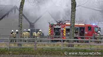 1200 varkens komen om bij loodsbrand in Wervik | Focus en WTV - Focus en WTV