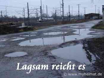 Langsam geht das trübe Wetter aufs Gemüt ! - Lutherstadt Wittenberg - myheimat.de