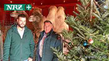 Kalkar: Safari im Winterwunderland bleibt, Kirmes beendet - NRZ News