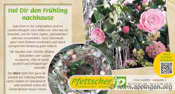 Hol Dir den Frühling nachhause - Eppingen.org