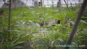 Medical, smokable marijuana is now for sale in Minnesota