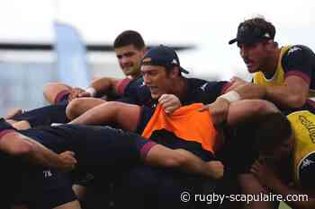 Entraînement délocalisé à Merignac mardi prochain - Rugby Scapulaire