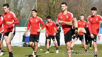 Serie B, Monza: i convocati di mister Stroppa, tornano a disposizione Ramirez e Brescianini - PadovaOggi