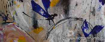 La rivoluzione delle Sibille e non solo: le iniziative di Monza per la Giornata della donna - Il Cittadino di Monza e Brianza