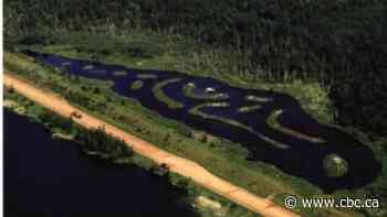 New nature trail coming for Borden-Carleton - CBC.ca