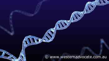 DNA test revolutionises disease diagnosis - Western Advocate