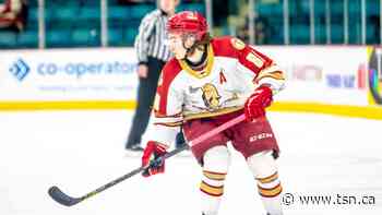 QMJHL roundup: Titan rout Tigres to extend regulation winning streak to five - TSN