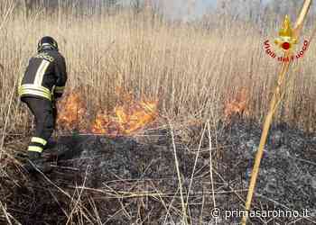Canneto in fiamme a Laveno, salvato un cucciolo di cinghiale - Prima Saronno