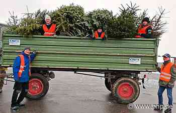 Kostenloser Service: CSU und JU sammeln 500 Christbäume ein - Passauer Neue Presse - PNP.de