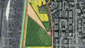 Covid, a Parma un Bosco della Memoria di 5 ettari e una barriera verde in viale Du Tillot - La Repubblica