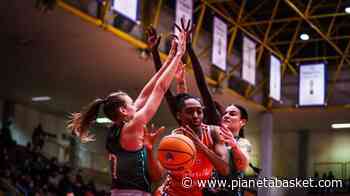 Techfind Serie A1: Schio ospita Campobasso, sfida salvezza a Moncalieri - Pianetabasket.com