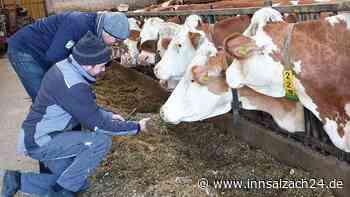Andreas Perschl über seine Pläne zur ökologischen Neuausrichtung des elterlichen Hofes