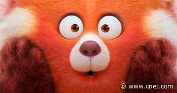 Why Disney Plus Will Stream 'Turning Red' ASAP -- but 'West Side Story' Didn't     - CNET