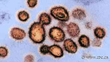 Monitoring chronic coronavirus infections may help forecast new variant threats, study suggests