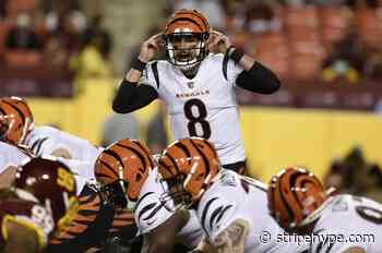 Bengals Free Agency: 5 potential replacements for Brandon Allen in 2022 - Stripe Hype