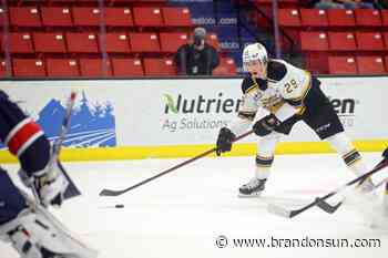 Danielson will be OK after scary on-ice incident - The Brandon Sun