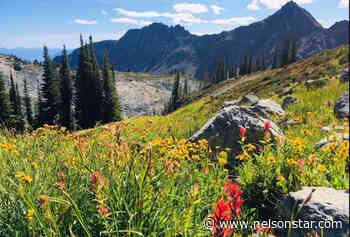 Petition against Zincton backcountry proposal picks up - Nelson Star