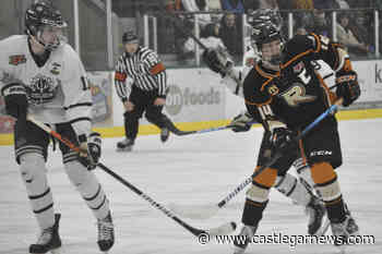 Nelson Leafs complete series comeback, beat Castlegar 3-1 in Game 7 - Castlegar News