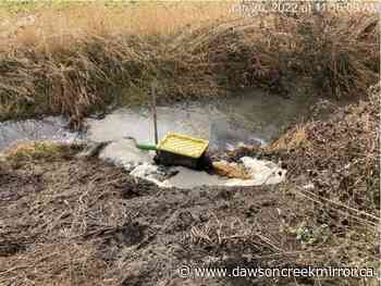 Toxic effluence discharged from flooded B.C. composting facility - Dawson Creek Mirror