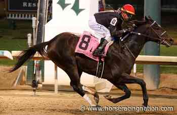 Smile Happy, Dash Attack have targets for their next Derby preps - Horse Racing Nation