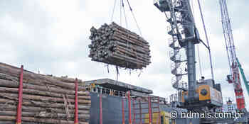 Porto de Imbituba realiza maior embarque de madeiras do país - ND Mais
