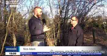 Drehscheibe Chemnitz vom 4.03.2022 | SACHSEN FERNSEHEN - SACHSEN FERNSEHEN