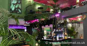 Jungle-themed roof-top terrace bar plans for Hull city centre - Hull Live