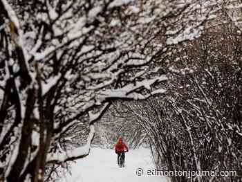 Edmonton weather: The ice crystal fairies delivered a beautiful coating of hoar frost