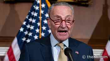 Senate Democrats call on Biden admin to end Trump-era immigration rule